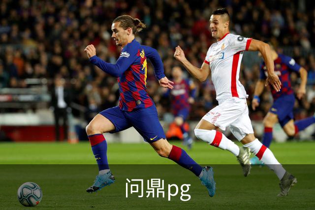 问鼎pg 公司简介